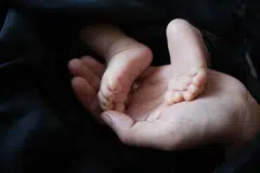 Kementerian Pembangunan Sosial dan Keluarga (MSF) juga sedang mendekati keluarga yang terjejas dengan dakwaan kes pemerdagangan bayi dari Indonesia ke Singapura bagi tujuan pengambilan bayi sebagai anak angkat, kata Menteri Negara (Ehwal Dalam Negeri merangkap Pembangunan Sosial dan Keluarga), Encik Goh Pei Ming.