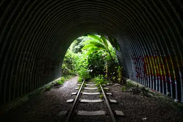 Pemerintah sedang mengkaji pengekalan kawasan kehijauan yang ketara di sepanjang bekas tapak Laluan Kereta Api Jurong sebagai sebahagian daripada rancangan pembangunan Sunset Way pada masa hadapan.