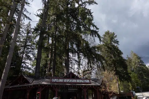 Jambatan gantung Capilano Suspension Bridge Park dikelilingi oleh kehijauan hutan yang menenangkan, menawarkan pengalaman luar biasa untuk pencinta alam.