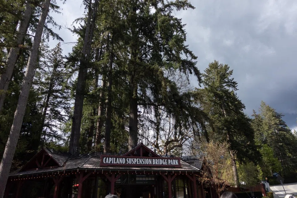 Jambatan gantung Capilano Suspension Bridge Park dikelilingi oleh kehijauan hutan yang menenangkan, menawarkan pengalaman luar biasa untuk pencinta alam.