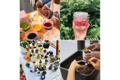 Farmer’s Market, Expo