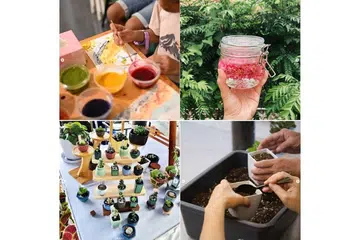 Farmer’s Market, Expo