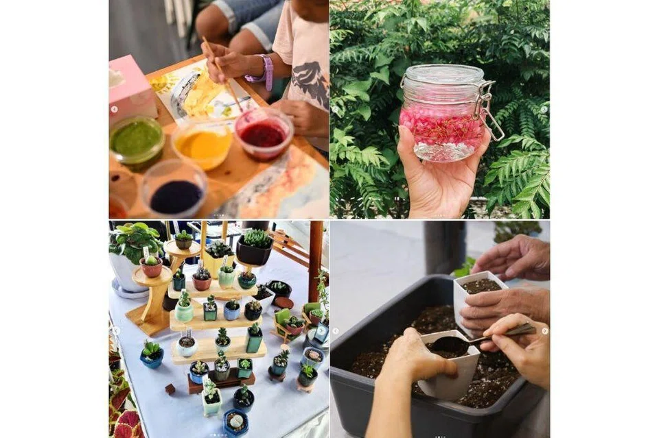 Farmer’s Market, Expo