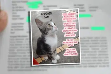Hantaran tular berhubung penganiayaan kucing di Medan Selera Pasar Lebuh Cecil, di Georgetown, Pulau Pinang,