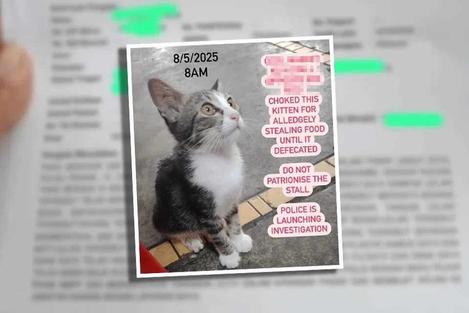 Hantaran tular berhubung penganiayaan kucing di Medan Selera Pasar Lebuh Cecil, di Georgetown, Pulau Pinang,