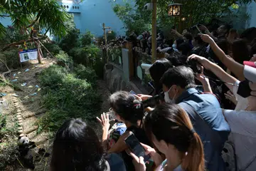 UCAP SELAMAT TINGGAL: Sekitar 1,000 pelawat berada di River Wonders pada 13 Disember untuk mengucapkan selamat tinggal kepada Le Le, beruang panda yang dilahirkan di Singapura. 