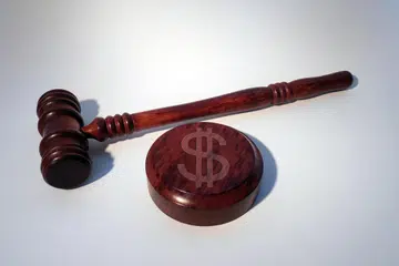 Seorang lelaki berpura-pura menjadi pelajar wanita asing di wadah kiriman mesej Telegram dan menipu seorang remaja lelaki berusia 17 tahun sebanyak $190 untuk pembelian makanan, selain khidmat seksual yang tidak diberikan. Tan Shi Ren, 22 tahun, dijatuhi hukuman penjara enam bulan lima hari pada 13 Ogos 2024.