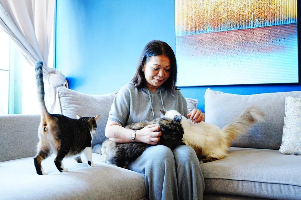 Cik Norliza Kamardin, menyelamatkan kucing yang dibuang di Singapura selama hampir tiga tahun. Beliau memulihkan kucing sebelum mencari pemilik dan rumah baru buat si ‘bulu’.