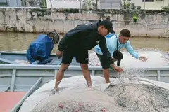 tumpahan minyak