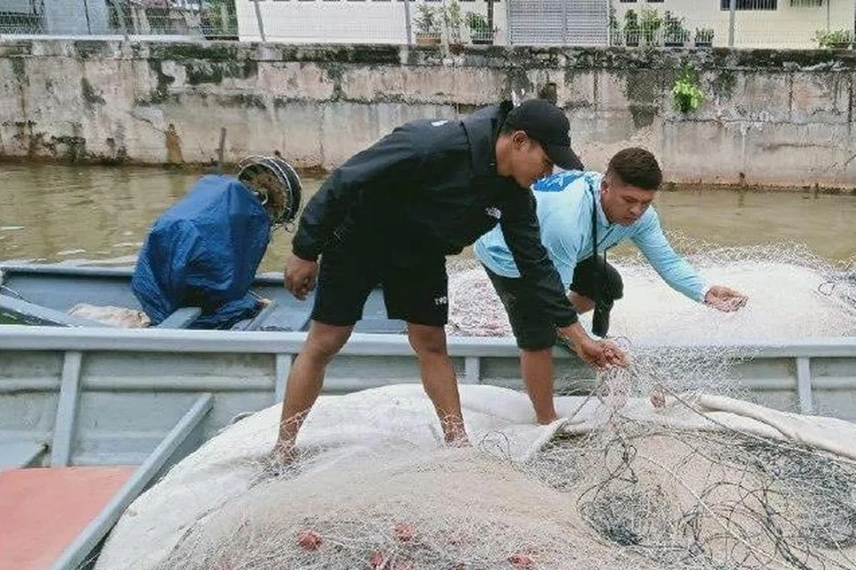 tumpahan minyak