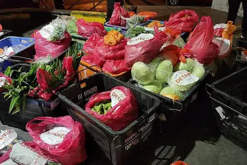 TIDAK, KURANG ISYTIHAR: Siasatan SFA mendapati JQA Pte Ltd mengimport secara terlarang kira-kira 362.4 kilogram sayur dan buah segar yang tidak diisytihar atau jumlah yang diisytihar kurang daripada yang sebenarnya. - Foto SFA, ICA