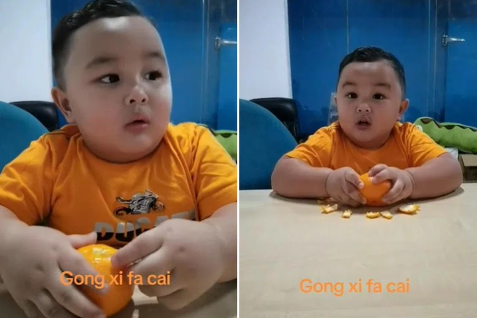 Bayi berusia 18 bulan, Muhamad Aniq Mohd Redzuan, dari Kedah kelihatan mengopek limau sementara ayahnya bertanya siapa yang telah memberi limau itu kepadanya.