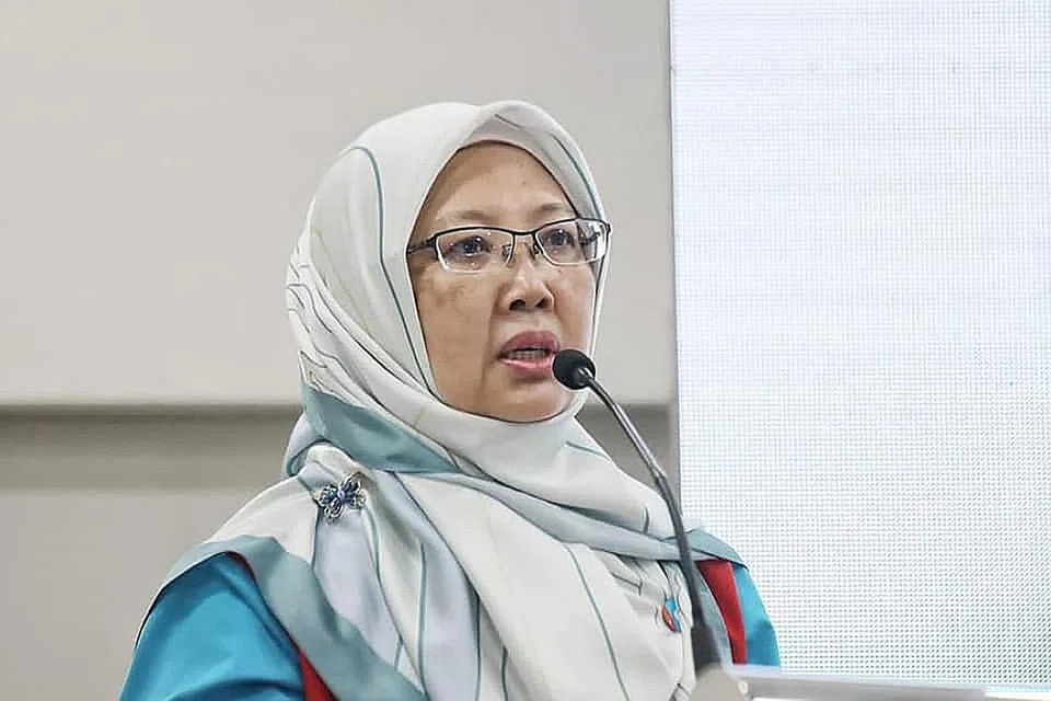  DR ZALIHA MUSTAFA: Jerebu berpotensi menjejas kesihatan, dan menyebabkan penyakit radang. - Foto fail