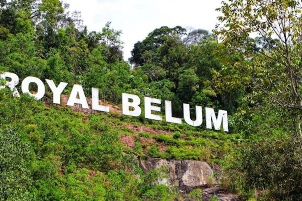 Seorang anggota Tentera Darat Malaysia ditemui lemas, manakala seorang lagi masih hilang, ketika melaksanakan rondaan berhampiran sempadan Malaysia-Thailand, dekat Sungai Merah, di Hutan Royal Belum, di Gerik, Perak, pada 30 November.