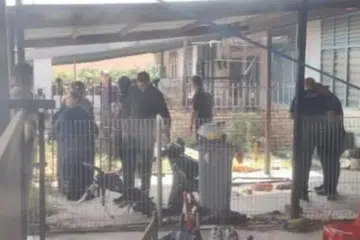 rangka bayi, alor gajah