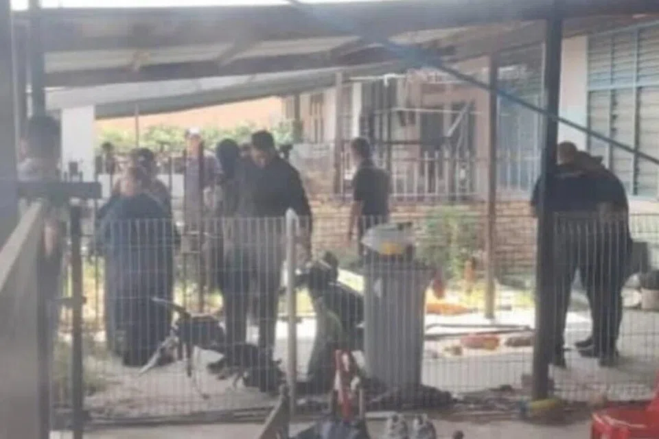 rangka bayi, alor gajah