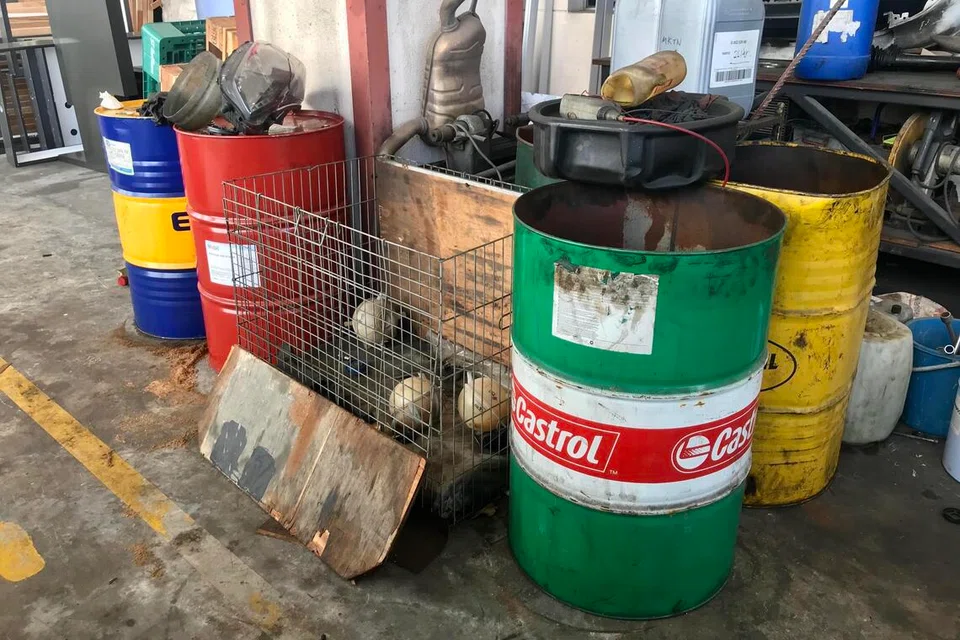 Ibu Megan, Foo Li Ping; pasangannya, Wong Shi Xiang dan rakan, Nouvelle Chua Ruoshi, membakar mayat Megan dalam tong logam buatan khas pada 8 Mei 2020 di Paya Ubi Industrial Park., namun, abu Megan tidak pernah ditemui.