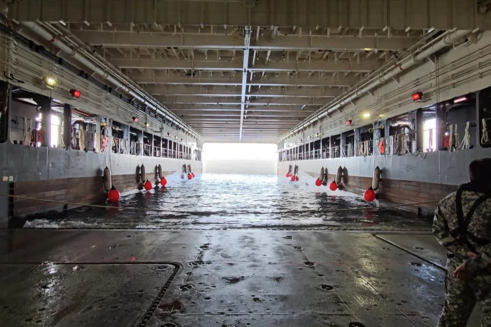 ‘Well dock’ adalah kawasan meletak Kapal Utiliti Laju (FCU). Pasukan tentera akan menaiki atau mendarat dari FCU di kawasan ini, dengan bantuan tentera laut yang melabuhkan kapal dari bahagian tepi dan depan kapal. Setiap tembok juga mempunyai dapra atau ‘fender’ untuk menyerap hentakan dan mengelakkan kerosakan semasa kapal berlabuh. 