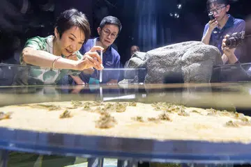 singapore ocearium, resorts world sentosa, grace fu, pelancongan, biologi marin 