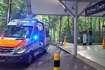 Pasukan Pertahanan Awam Singapura (SCDF) menyatakan ia menerima panggilan meminta bantuan di Paya Simpanan Sungei Buloh pada 4.55 petang pada 14 Julai.