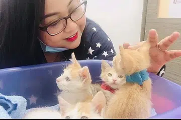 BERJAYA DISELAMATKAN: Empat ekor anak kucing ini merupakan antara lapan ekor kucing yang menjadi mangsa pembuangan selepas dijumpa dalam satu bungkusan yang disita rapi tanpa air dan makanan pada awal tahun ini. - Foto ihsan NASHA 'FELINE' 