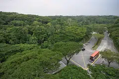 CleanTech Park, forest, streams,  Jurong Innovation District