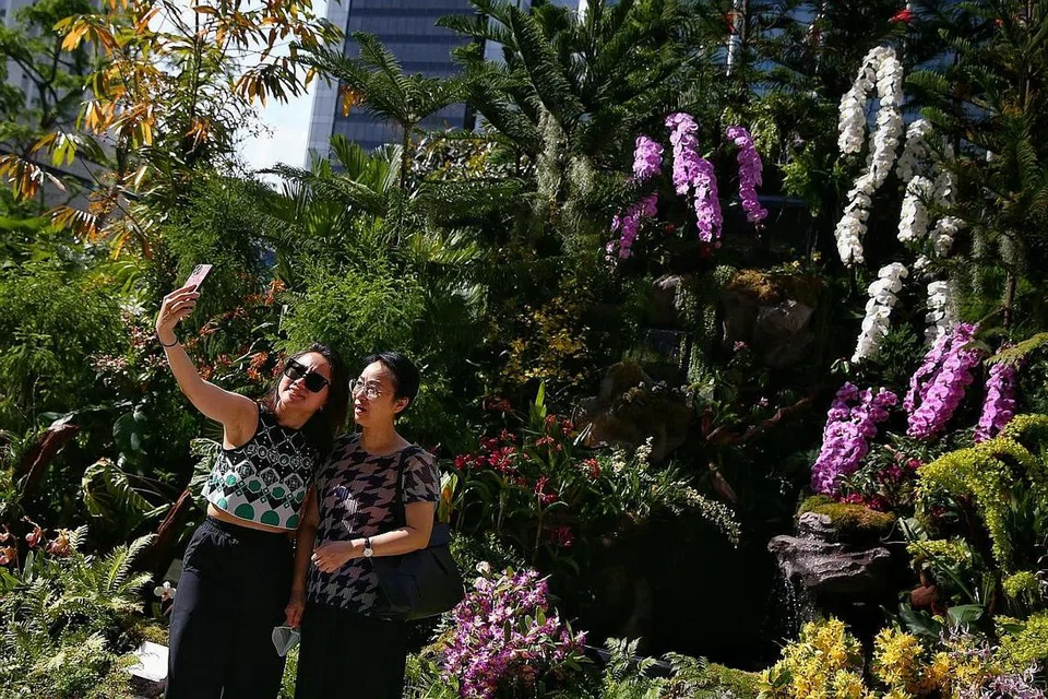 FANTASI TAMAN: Pelawat bergambar di paparan A Botanical Fantasy, iaitu taman paya dengan pelbagai tumbuhan karnivor, seperti Sarracenia, Dionaea muscipula dan Nepenthes, yang semuanya jenis pokok periuk kera, di Ngee Ann City. - Foto BH oleh FELINE LIM 