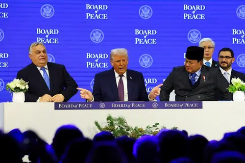 prabowo, lembaga keamanan gaza, indonesia