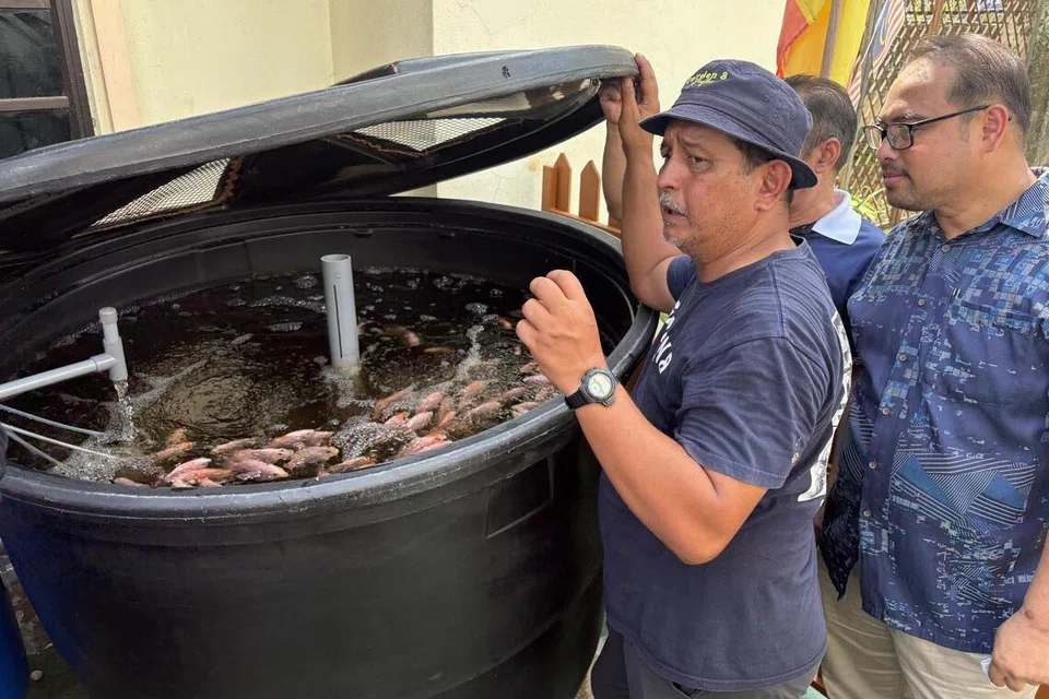 Penggerak kebun komuniti Garden8 di Taman Perwira Setia, Gombak, Selangor, Encik Iqmal Fajri Danial (kiri) menunjukkan ternakan ikan tilapia merah kepada pelawat.