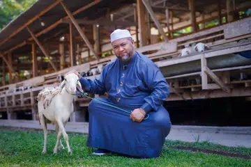 IBADAHSG PTE LTD, korban, staz Mohamed Firdaus Masruhen,