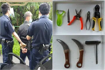 Lelaki disyaki tikam pegawai NParks bakal dituduh cuba membunuh