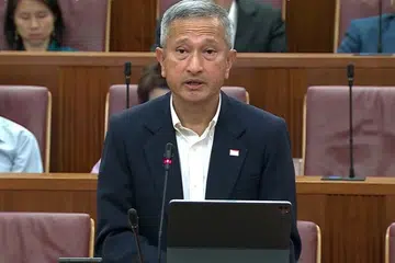 Dr Vivian Balakrishnan, Palestine, Palestin, Singapore stand
