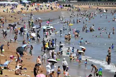 Virus baru Langya dilaporkan menjangkiti beberapa penduduk di wilayah Shandong.
