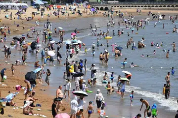 Virus baru Langya dilaporkan menjangkiti beberapa penduduk di wilayah Shandong.