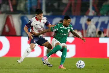 Man City, Allan Elias, pemain sayap Palmeiras
