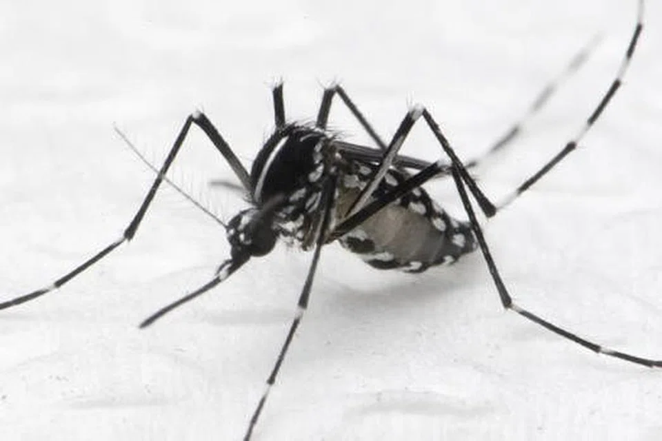 c0f02e73-62a7-464a-9057-57b222070632