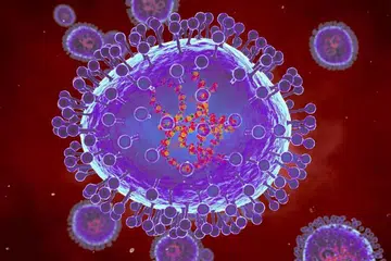 HMPV atau human ‘metapneumovirus’ adalah jangkitan pernafasan  dengan gejala serupa dengan selesema biasa.