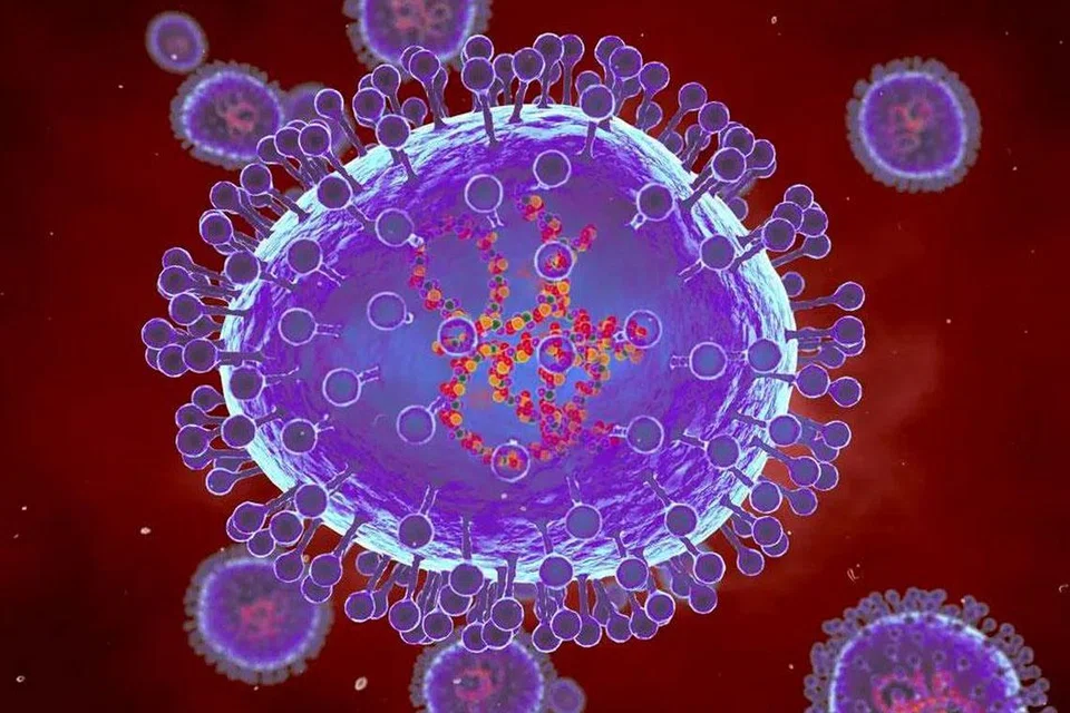 HMPV atau human ‘metapneumovirus’ adalah jangkitan pernafasan  dengan gejala serupa dengan selesema biasa.