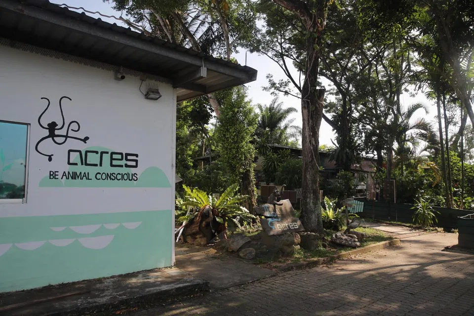 Ini kali pertama Acres terpaksa kurangkan waktu operasi talian telefonnya sejak khidmat menyelamat haiwan liar 24 jam dilancarkan hampir dua dekad lalu.