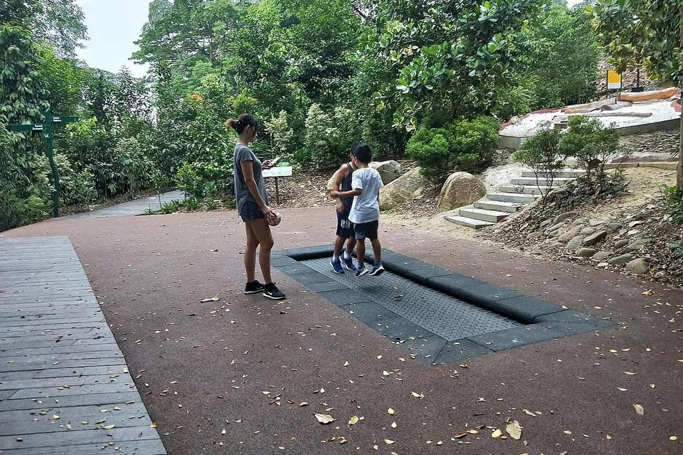 LOMPAT ADIK LOMPAT: Kawasan alam semula jadi ini mempunyai pelantar lompatan yang membolehkan pengunjung menikmati pemandangan penuh menghijau secara lebih dekat. - Foto INIAZ RAHIM 