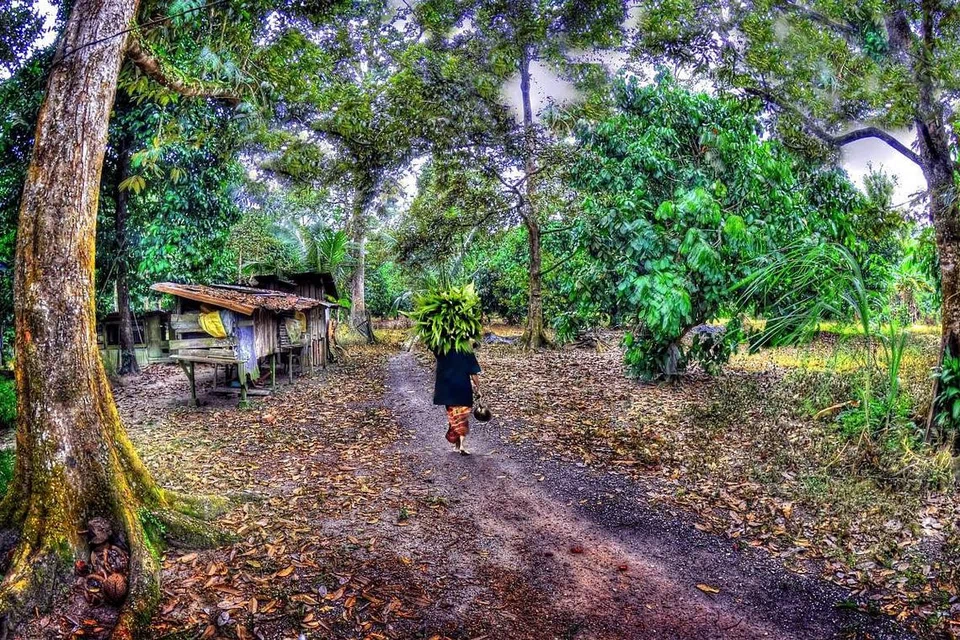 SUASANA MENGHIJAU MENDAMAIKAN: Suasana nyaman dapat dirasakan sebaik sahaja rombongan 15 rakan melangkah masuk ke kebun di kawasan Muar, Johor, Malaysia. - Foto ihsan SAHARI SARIMAN 