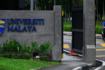 Beberapa kucing ditemukan mati dalam keadaan kejam dengan empat kaki dipotong dengan senjata tajam di Universiti Malaya, Kuala Lumpur, yang membawa kepada siasatan lanjut oleh pihak berkuasa.