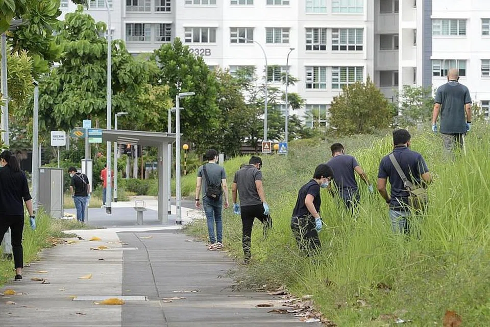 MENCARI BAHAN BUKTI: Anggota polis dilihat melakukan pemeriksaan rapi di kawasan semak dekat kejadian serangan ke atas mendiang Encik Tay Rui Hao di Punggol Field pada Isnin lalu. Mendiang memaklumkan kepada bapanya untuk keluar bersenam. 