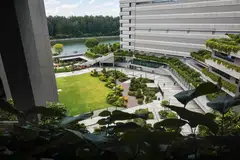 Para pelajar di Institut Teknologi Singapura (SIT) di Punggol ditawarkan modul tentang Inovasi Sosial dan Pengurusan Perubahan yang melibatkan kerja berkumpulan dan pembelajaran secara bekerjasama.