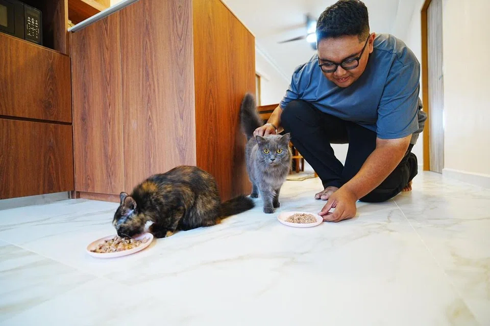 Bekas jurutera perisian, Encik Muhammad Amirul Hakim Ahmad, memulakan operasi Kittykatsitter sejak beliau menerima sambutan hangat di media sosial yang meminta perkhidmatannya.