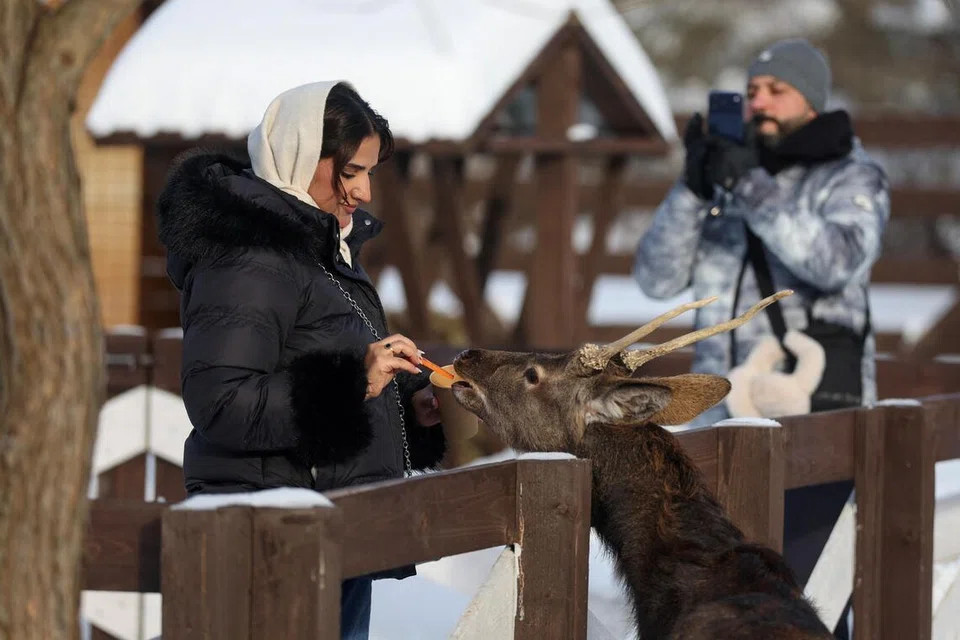 lonjakan pelancong Arab, musim sejuk Moscow
