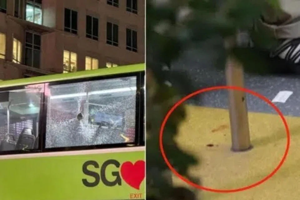 baling botol, bas 190, cedera, didakwa