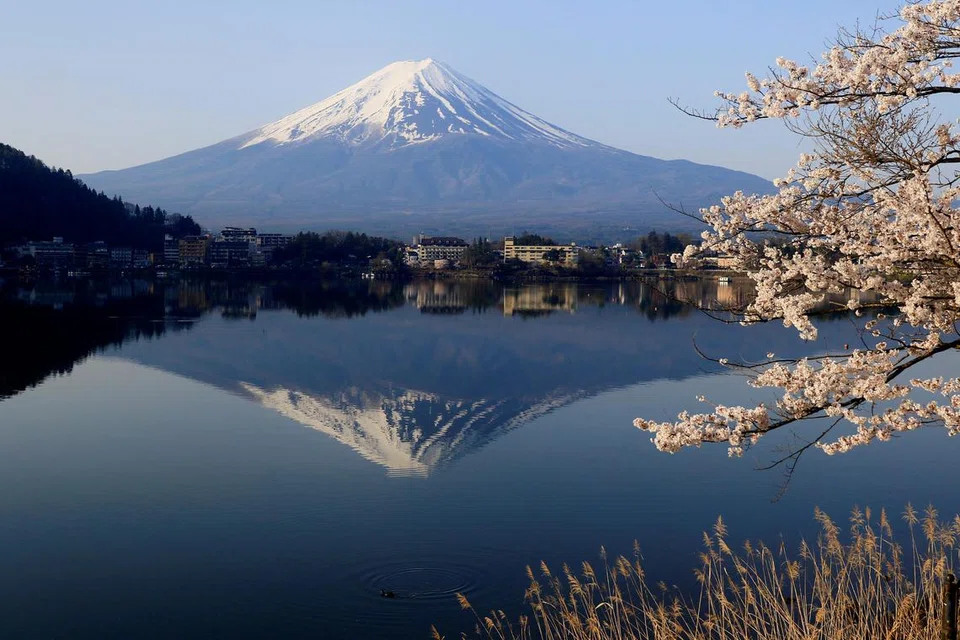 Pemandangan indah Gunung Fuji dan bunga sakura di Tasik Kawaguchiko, Fujikawaguchiko, Jepun pada 14 April 2024.