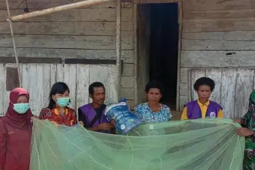 papua, kelambu, malaria.