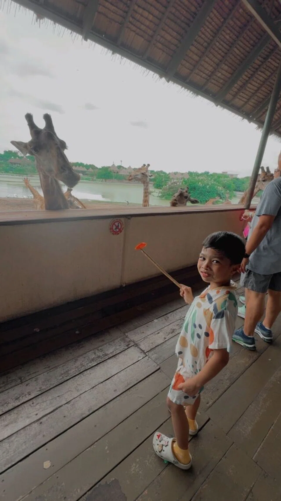 Daawud Rizqi Khairul Rasul bersemuka dengan zirafah di Safari World Bangkok. 